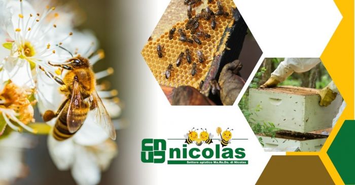 GIUSEPPE Susa foto 12