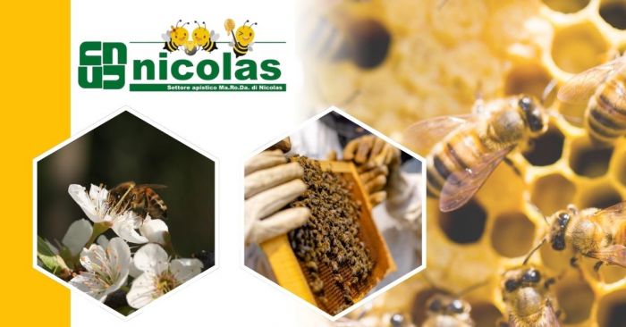 GIUSEPPE Susa foto 2