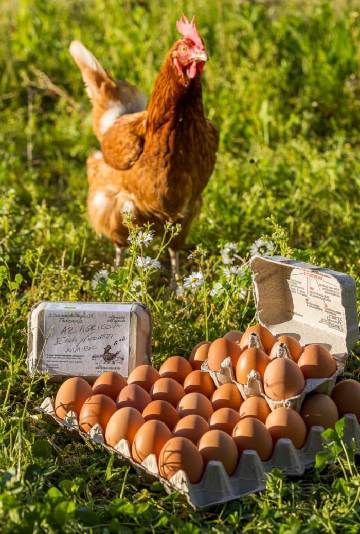 FRANCESCA Civitella Paganico foto 1