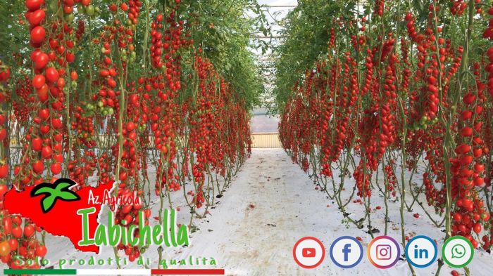 EMANUELE Vittoria foto 3