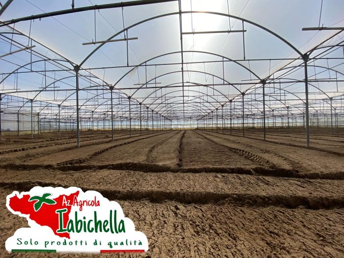 EMANUELE Vittoria foto 4