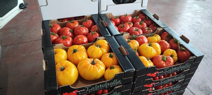 EMANUELE Vittoria foto 7