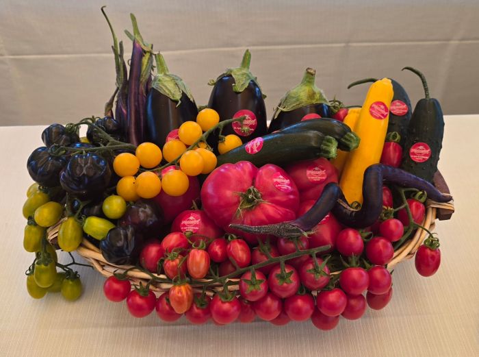 EMANUELE Vittoria foto 13