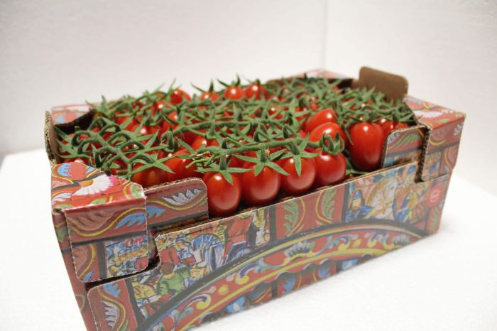 EMANUELE Vittoria foto 2