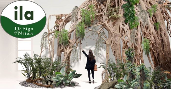 Antonio Zanica foto 5